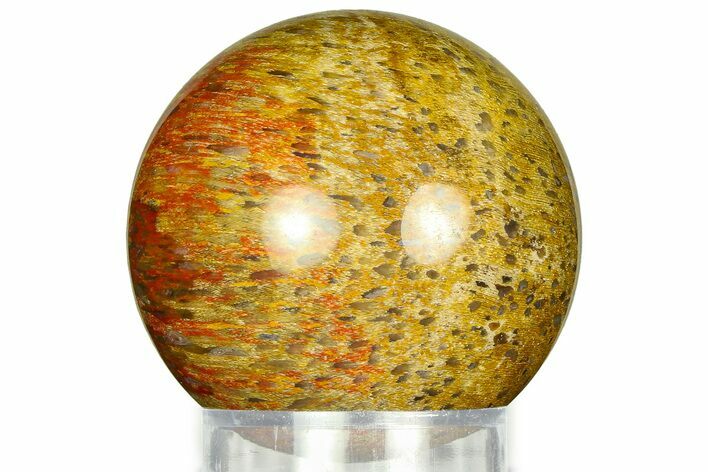 Polished Petrified Palm Wood Sphere - Indonesia #311565